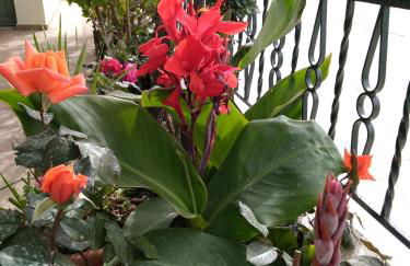 Nostalgia Apartment A in Sami 50 metres from the sea - Foto 70