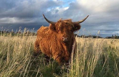 Pew With a View - Seafront Cottages - Foto 82