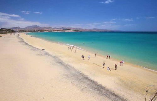 Ele House - Photo 24