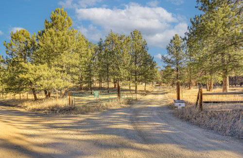 Pet-Friendly Pine Home Near Hiking and Fishing! - Photo 26