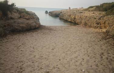 Agriturismo Salinola - Foto 110