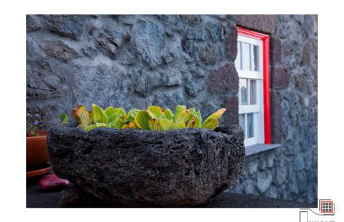 Casa do Zé II AL - Photo 87