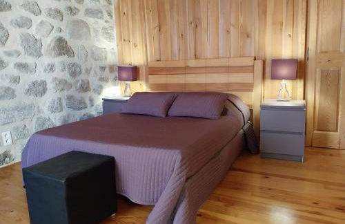 le gite de l'oustà biélh - Foto 15