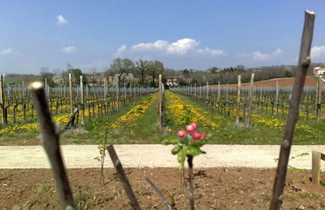 Agriturismo Caspineda - Foto 26