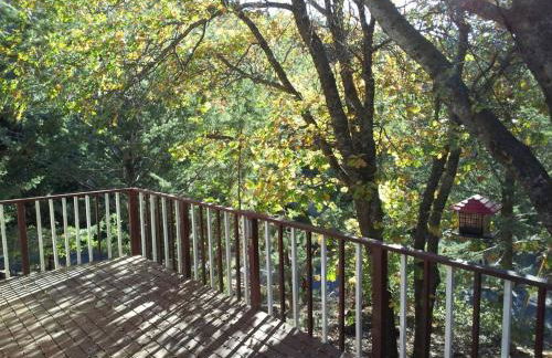 Time Traveler Retreat - Foto 10