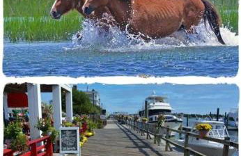 Sparrows Nest 3br 2 and half bath beach cottage - Foto 16