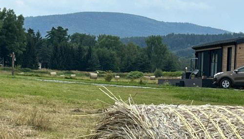 Leśny Park Polanica - Foto 4