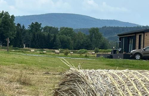 Leśny Park Polanica - Foto 4