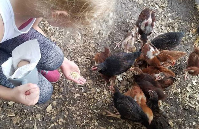 Beautiful Vacation Home CBC FARMS - Photo 21