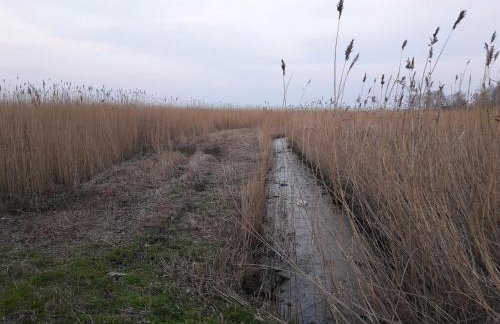 Ferienhaus am Nationalpark, Klausdorf, ca 250m bis zur Badestelle - Foto 23