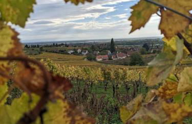 Logement "Le Kelsch" Vignoble proche de Strasbourg avec Sauna - Foto 46
