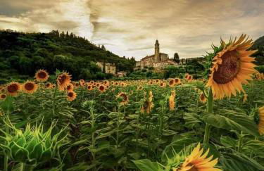 La Collina del Poeta - Photo 57