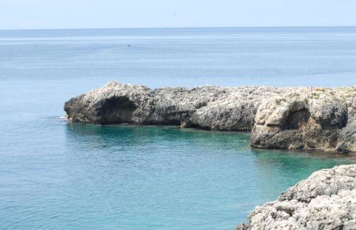 Pajara Rugiada - Foto 55