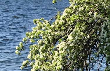 Raben Steinfeld Forststrasse Am Residence-Park - Foto 2