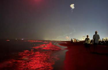 Bibione Landora Nummer 141 - Foto 5