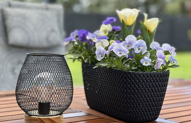 Doksy Ldma001 in Doksy - Foto 40