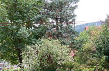 Alb Panorama Residenz - Foto 27