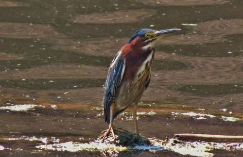 Riverfront Cabin Rental for Four near Crater Lake National Forest, Oregon - Foto 18