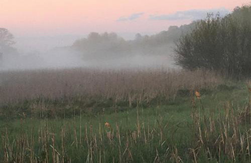 Dom w Puszczy - Foto 16