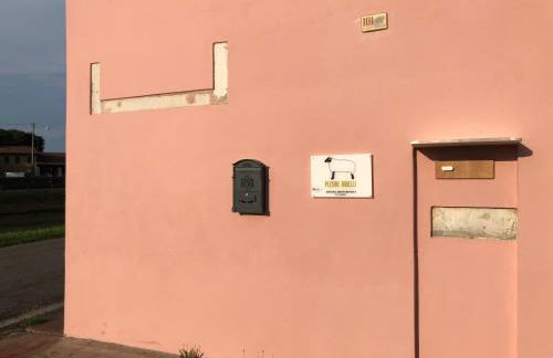 Pecore Ribelli - Photo 17