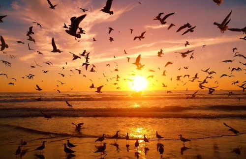 House Caparica - Foto 27