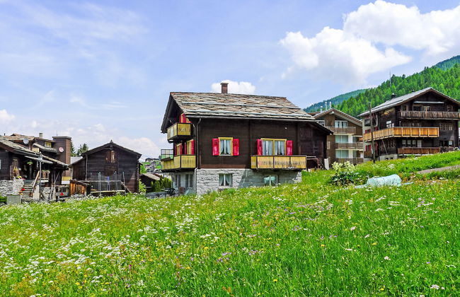 Heiderösli - Foto 18