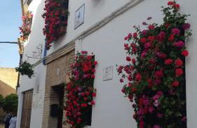 El rincón de Jesús y Loli - Foto 33