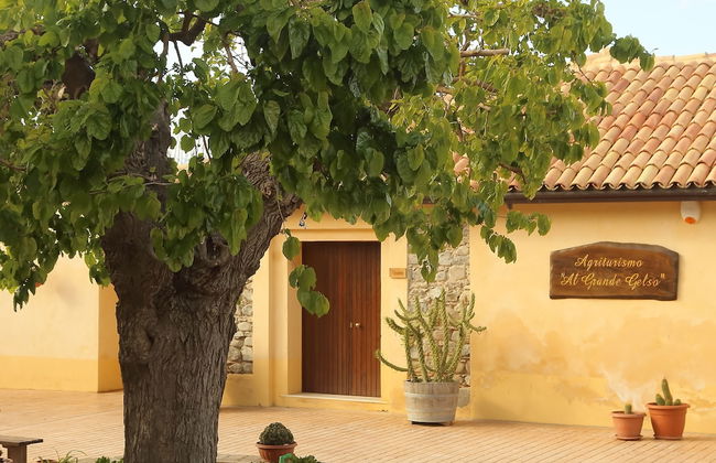 Al Grande Gelso - Foto 22