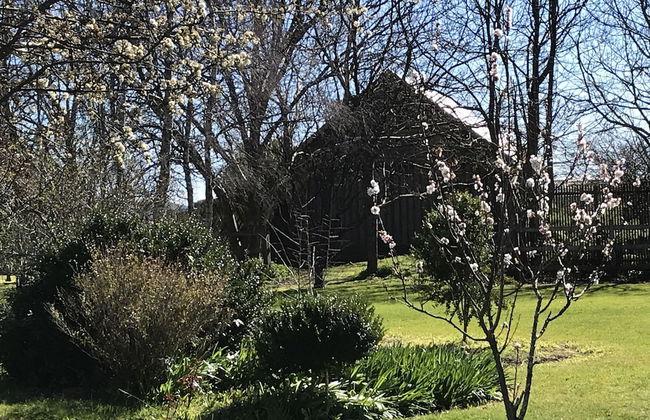 Somerset Caravan Park - Foto 1