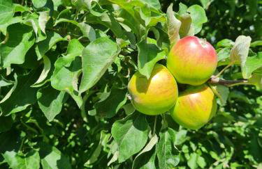 DOMEK na polance - Foto 30