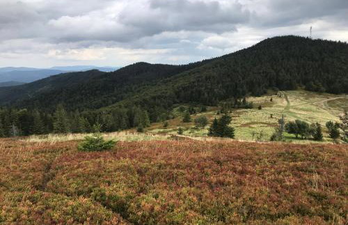 Chata filozofa pod Policą - Foto 49