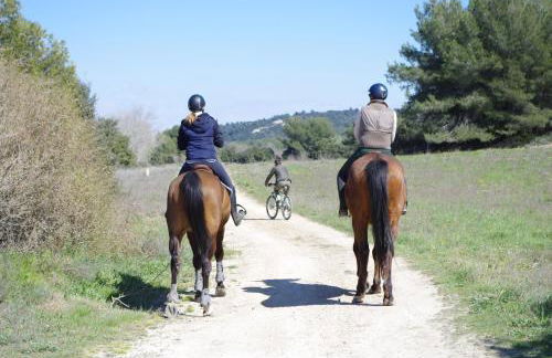 Lei Meissoun - Foto 17