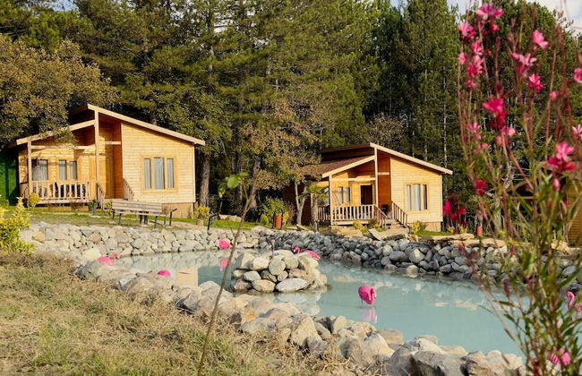 Koru Aura Mengen - Photo 26