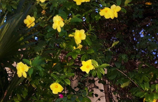 Casa Nona, Beautiful Apartment in Cancun - Foto 30