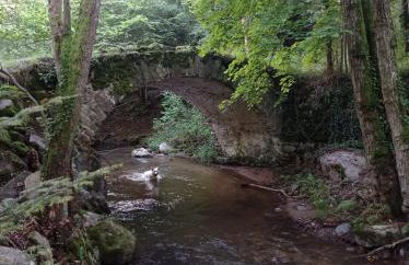 Chalet des fontaines claires - Foto 41