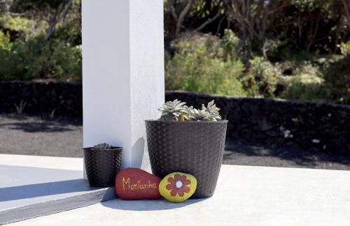 Vista Montanha - Foto 40