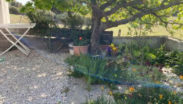 Casa Corofulu Oliena - IUN P2139 - Foto 3