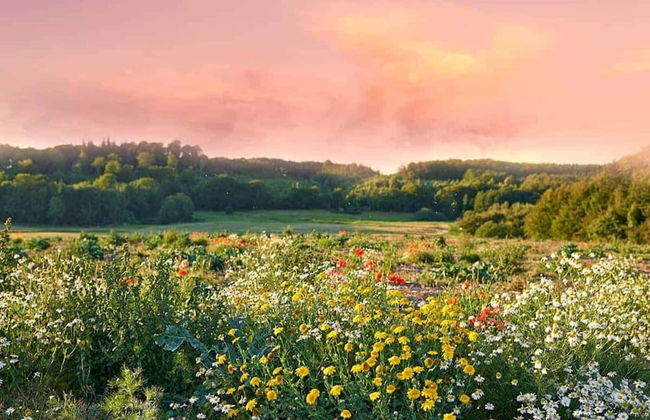 Holiday Home in Belczna Near Lake Klepnicko - Foto 31