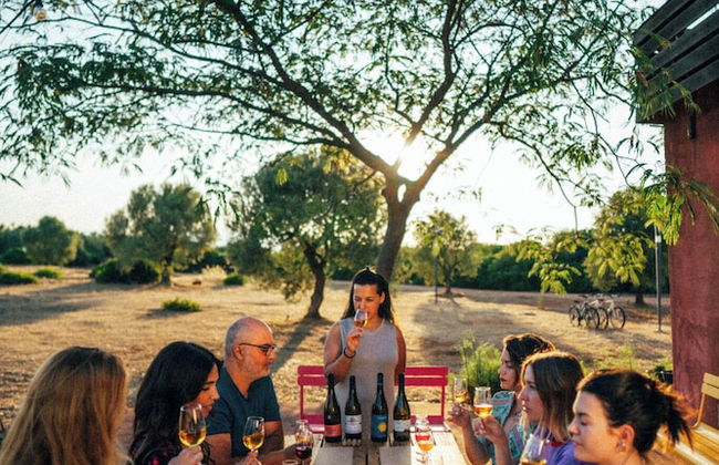 eumelia organic agrotourism farm - Photo 29