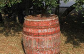 Apartments by the sea Kraj, Pasman - 331 - Photo 10