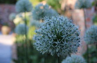 Ferienwohnung GeestZuhause - Foto 31