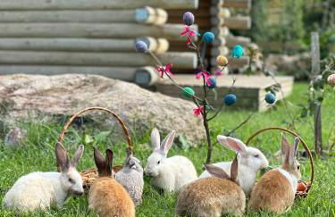 Cabana Bariloche - Busch Camping - Photo 24