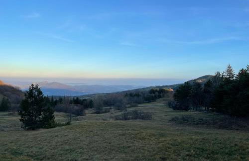 Chalet Leonard House in the wood - Foto 18