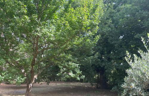 A casa di Bia - Foto 30