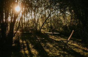 Cozy Izeria - Foto 12