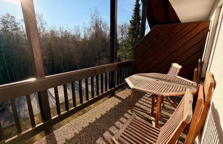 Waldapartments Titisee - Foto 67