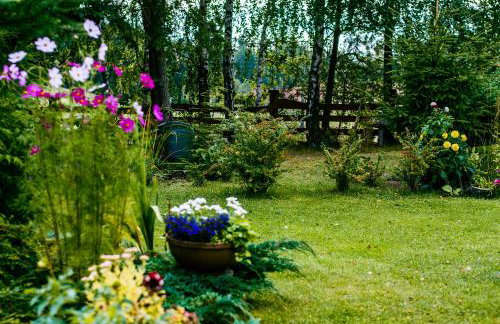 Leśna Zagroda - Foto 16