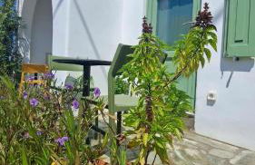 Spice Suites-Lime - Foto 15