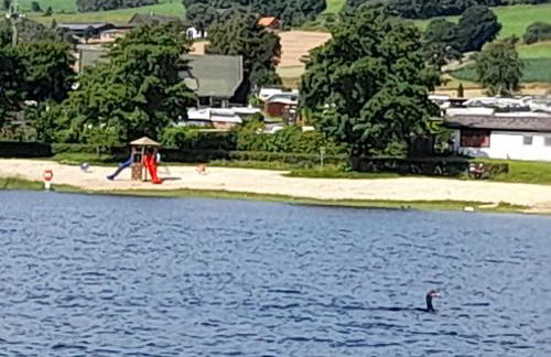 Ferienhaus Familienjuwel am Diemelsee - Foto 33