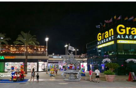 Villa Las Iguanas - Foto 42